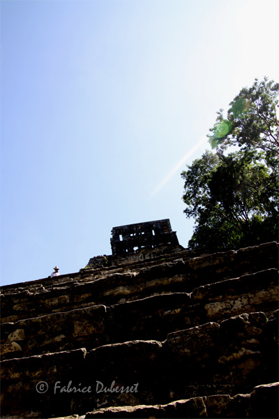 temples-palenque