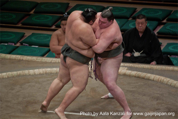 sumo-tournament---tournoi-s