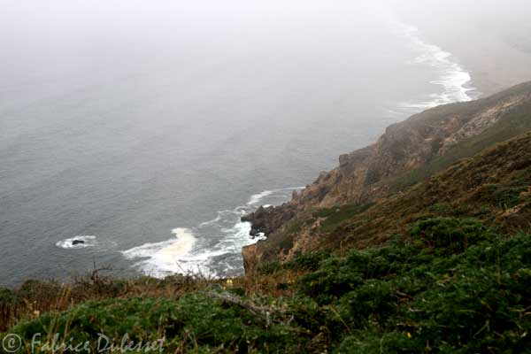 point_reyes_pahre