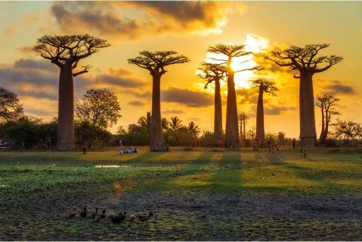 Madagascar : destination pas chère d'Afrique