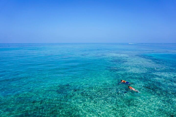 que faire à Punta Cana ? Snorkeling 