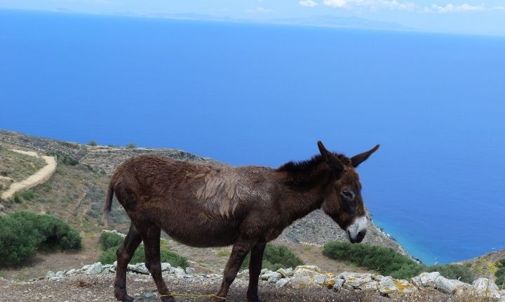 Visiter l'île de Folegandros dans les Cyclades