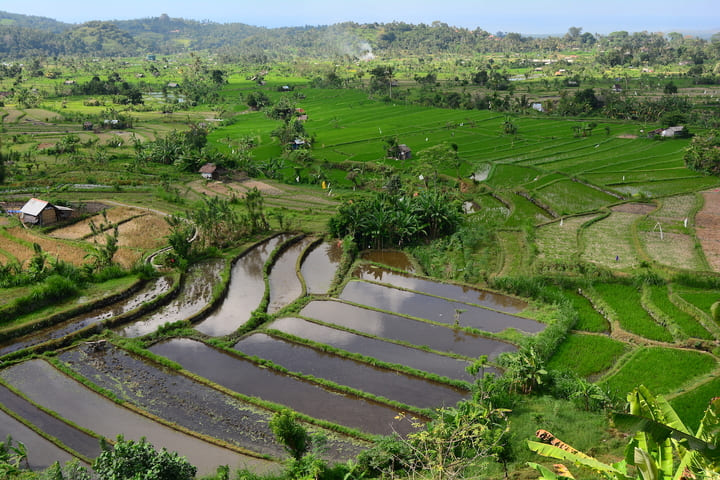 Visiter les rizières de Jatiluwih à Bali