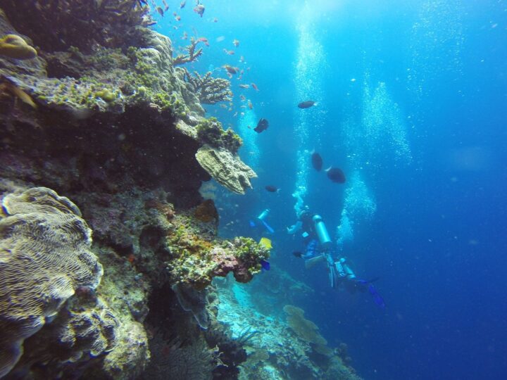 où faire de la plongée sous-marine indonésie