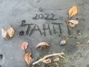 visité Tahiti,