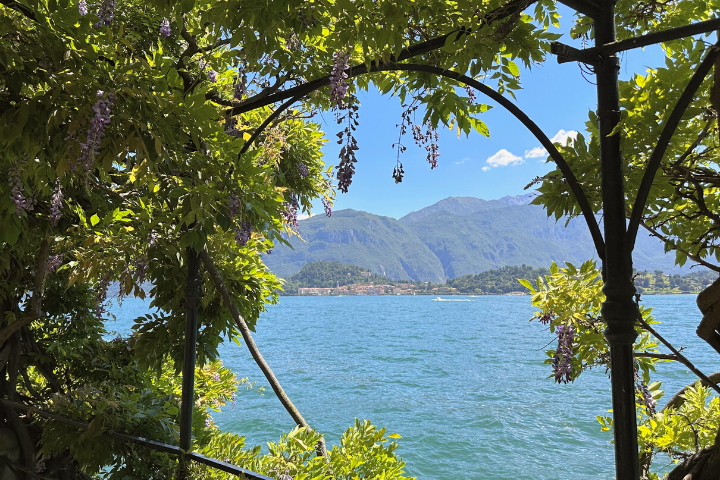 Glycines au bord du lac de Côme
