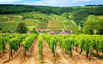 Faire un road trip en Bourgogne, entre vignobles, villages pittoresques et sites historiques remarquables